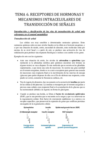 tema 6.pdf