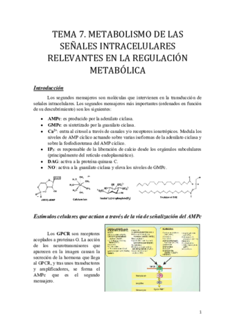Tema 7.pdf