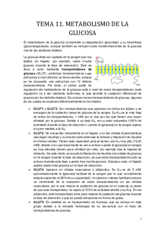 Tema 11.pdf