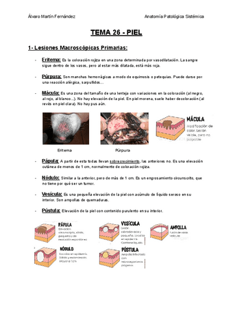 TEMA-26-PIEL.pdf