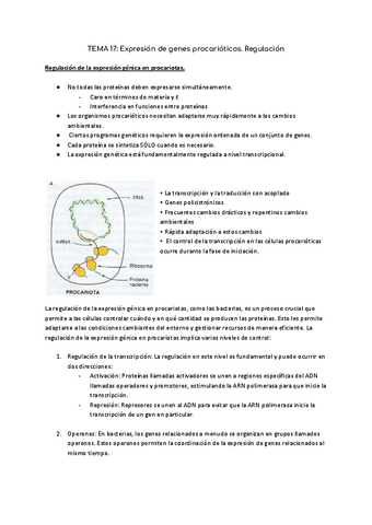 TEMA-17-Expresion-de-genes-procarioticos.pdf