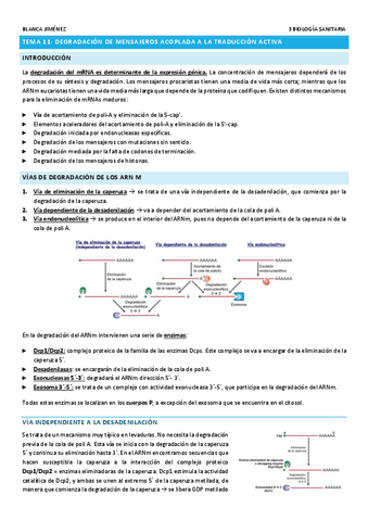TEMA-11-DEGRADACION-DE-MENSAJEROS-ACOPLADA-A-LA-TRADUCCION-ACTIVA.pdf