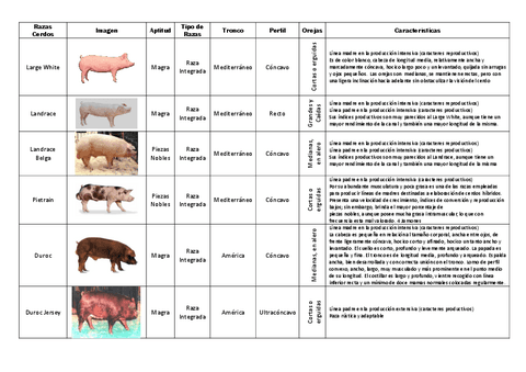 Etnologia-Comparada-Porcino.pdf