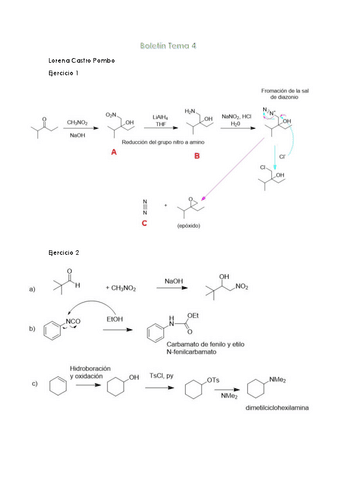 Boletin-4-Ampliacion-Organica.pdf