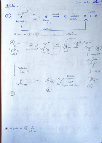 Boletin-2-Ampliacion-Organica.pdf