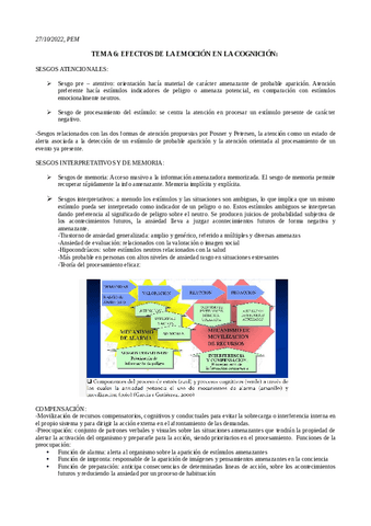 TEMA-6-PEM.pdf