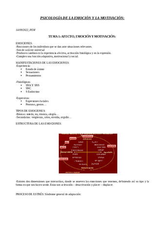 TEMA-1-PEM.pdf