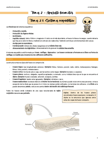 Tema-2.1-Sistema-Locomotor-Esqueletico.pdf
