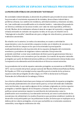 TEMA 13.pdf