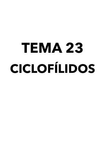 Tema-23.pdf