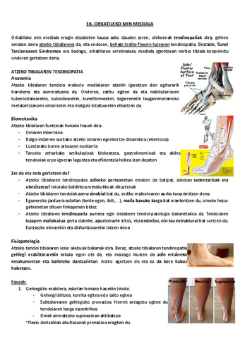 16.-Orkatileko-min-mediala.pdf