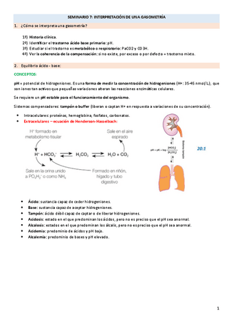 SEMINARIO-7-patologia-acido-base.pdf
