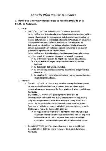 ACCION-PUBLICA-EN-TURISMO.pdf