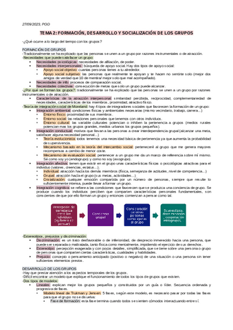 TEMA-2-PGO.pdf