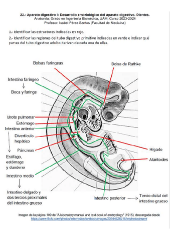 12-CuadernoDigestivo-RESUELTO.pdf