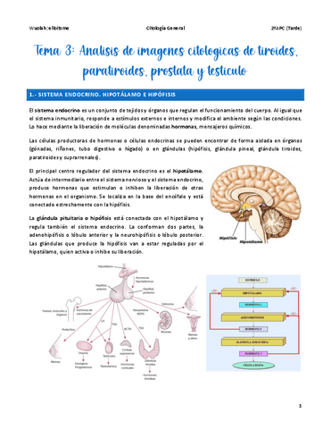 Tema-3-General.pdf