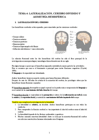 TEMA-4-LATERALIZACION-CEREBRO-DIVIDIDO-Y-ASIMETRIA-HEMISFERICA.pdf