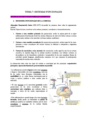 TEMA-7-SISTEMAS-FUNCIONALES.pdf