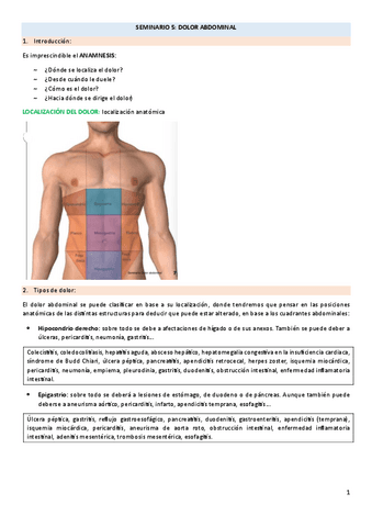 SEMINARIO-5-dolor-abdominal.pdf