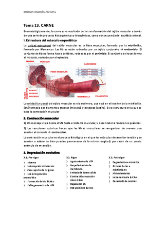 Bromatologia-animal.pdf