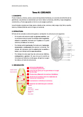Bromatologia-vegetal.pdf