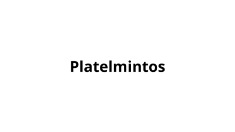 Platelmintos.pdf