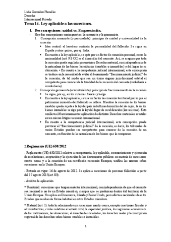 Tema-14-Internacional-Privado.pdf