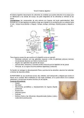 Tema-8-Sistema-digestivo-1.pdf