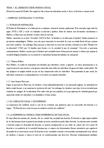RESUMEN-TEMA-1.pdf