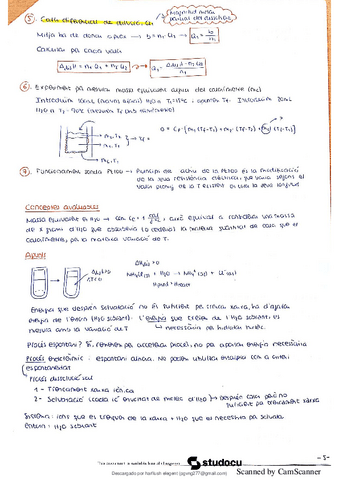 resum-practiques-lbqforganized-2.pdf