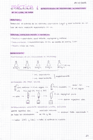 practica-1-colorantes.pdf
