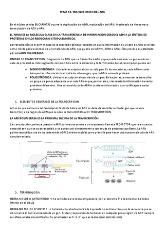 TEMA-10-PROCESOS-III.pdf