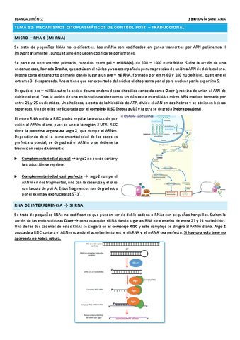 TEMA-12-MECANISMOS-CITOPLASMATICOS-DE-CONTROL-POST-TRADUCCIONAL.pdf