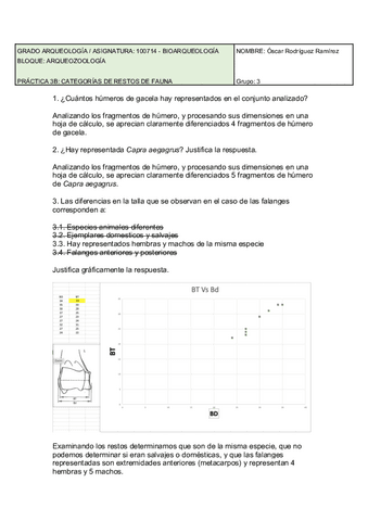 Entrega-practica-3B.pdf