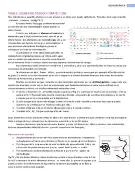 TEMA 3 y 4 DP.pdf