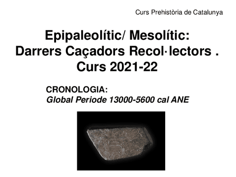 Curs-21-22-Mesolitic-def.pdf