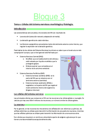 Bloque-3-psicobiologia.pdf