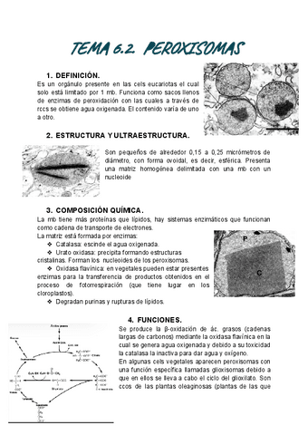 TEMA-6.2-BIO.pdf