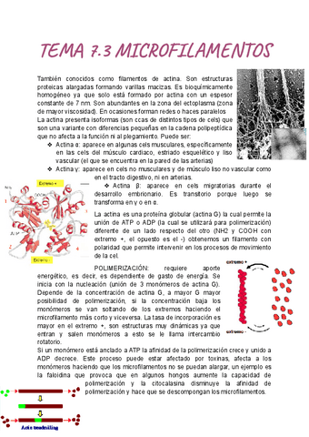 TEMA-7.3-BIO.pdf