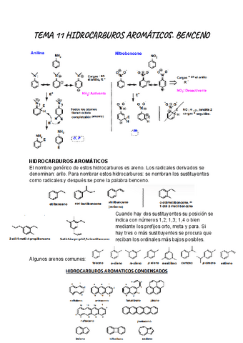 TEMA-11-ORGANICA.pdf