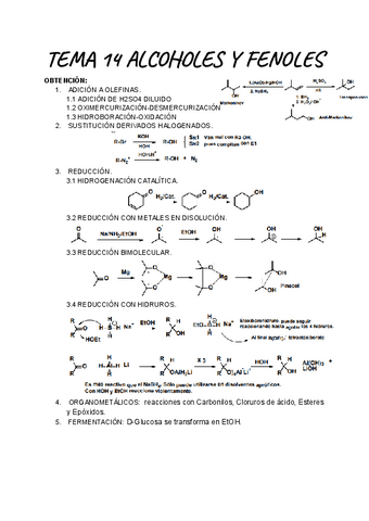 TEMA-14-ORGANICA.pdf