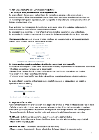 TEMA-7.-SEGMENTACION-Y-POSICIONAMIENTO.pdf