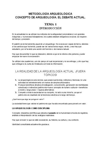 TEMA-12345678.pdf