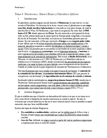 Prehistoria-I-Tema-4.pdf