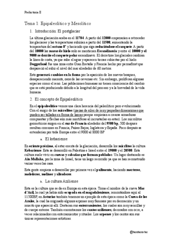 Prehistoria-II-Tema-1.pdf