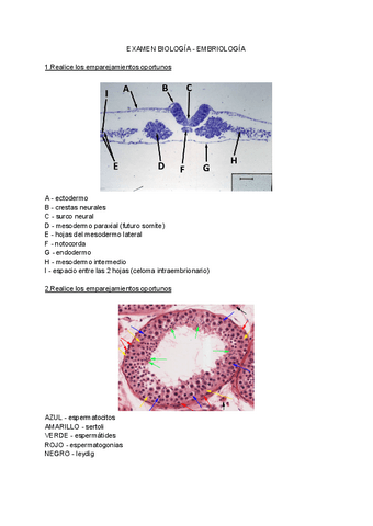 examen-biologia-embrio.pdf