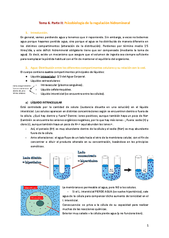 Tema-6.-Parte-II-Psicobiologia-de-la-regulacion-hidromineral.pdf