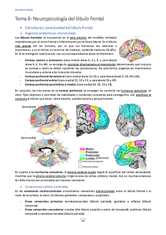 Tema-8-Neuropsicologia-del-lobulo-frontal-1.pdf