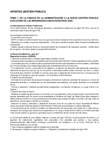 APUNTES-XESTION-PUBLICA.pdf