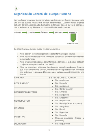 Temario-anatomofisiologia-y-patologia-basica.pdf